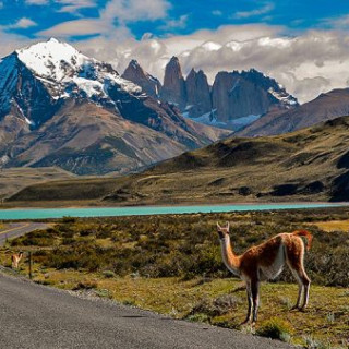 LAS TORRES